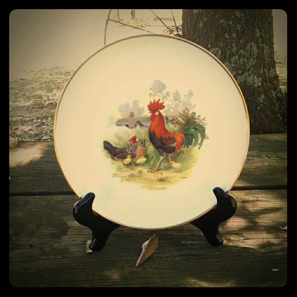 Vintage collectible chicken plates